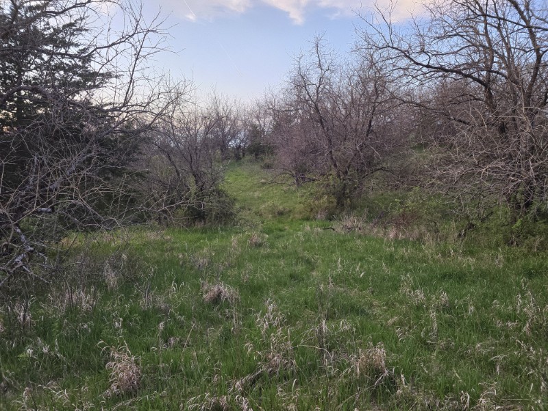 Listing photo 38